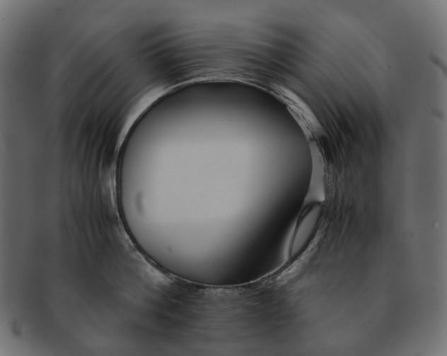 X0000091540812200709071103