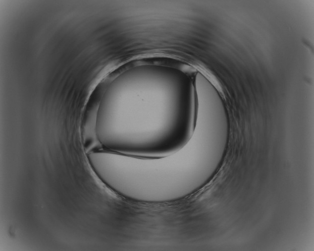 X0000091540813200709071102