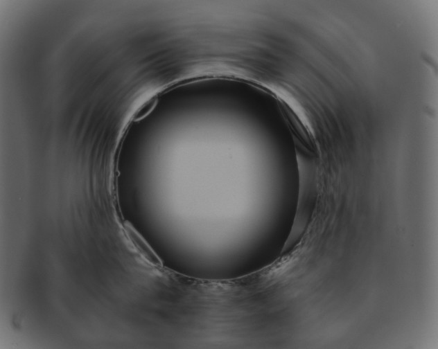 X0000091540815200709071102