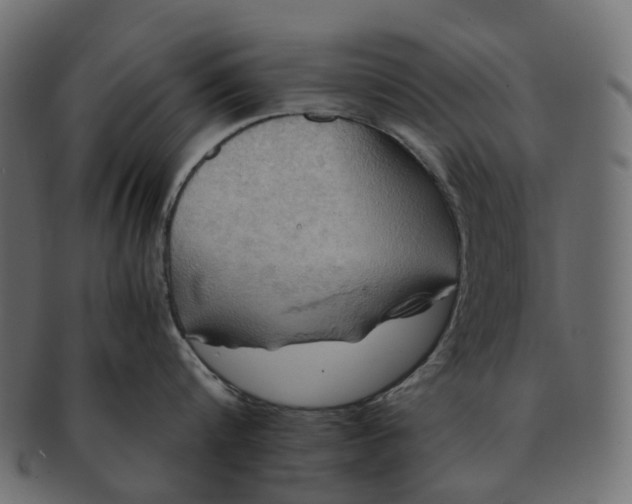 X0000091540816200709071102