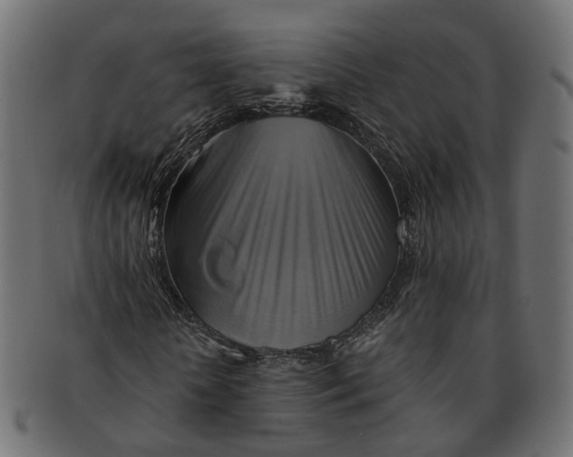 X0000091540818200709071102