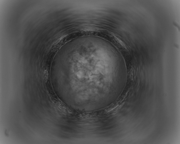 X0000091540821200709071102