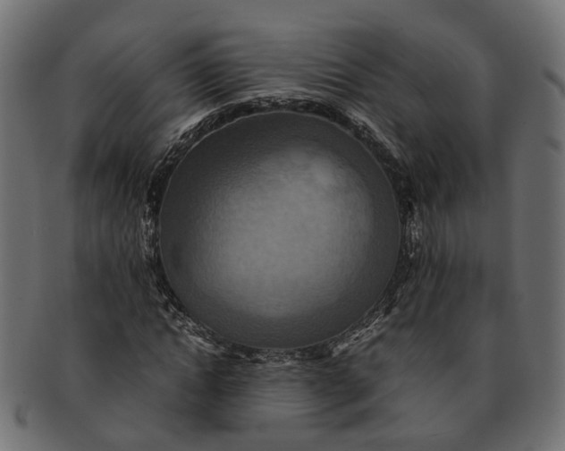 X0000091540822200709071102