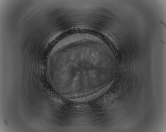 X0000091540823200709071102