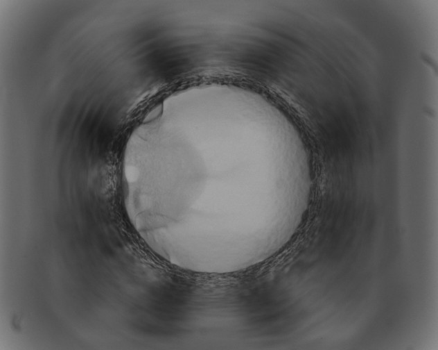 X0000091540824200709071102