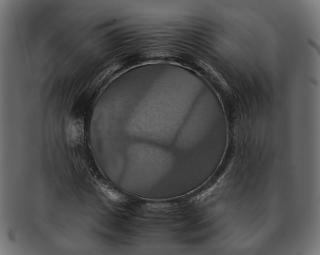 X0000091540825200709071102