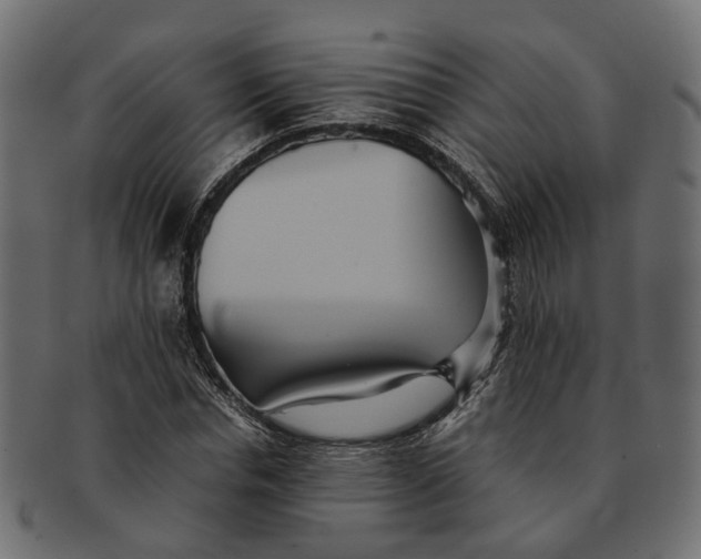 X0000091540826200709071102