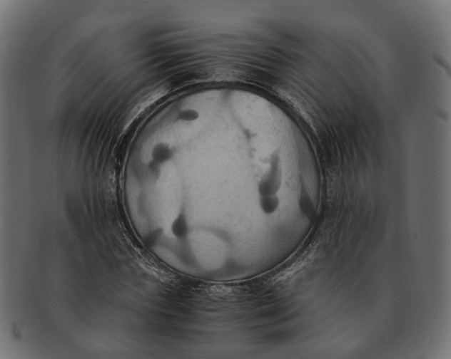 X0000091540827200709071102