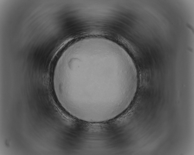 X0000091540828200709071102