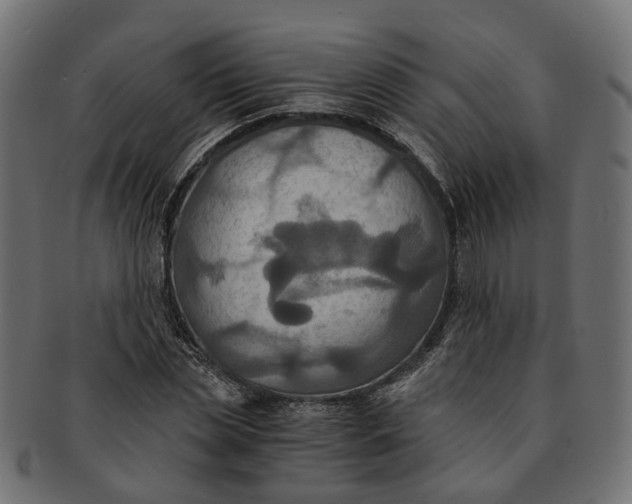 X0000091540829200709071102