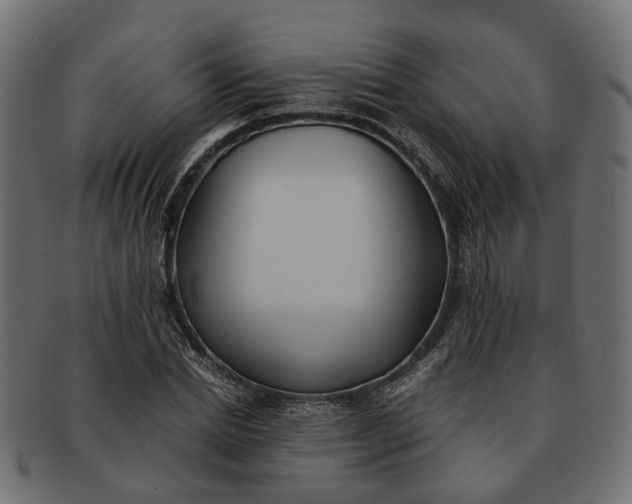 X0000091540830200709071102