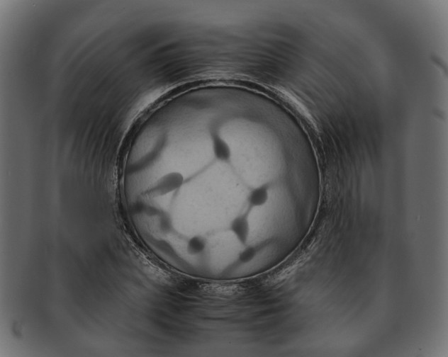 X0000091540831200709071102