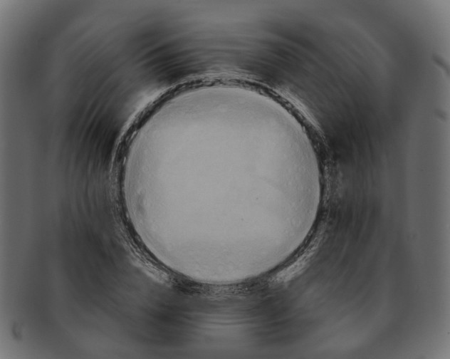 X0000091540832200709071102