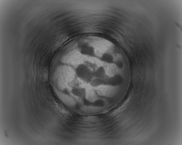 X0000091540833200709071102