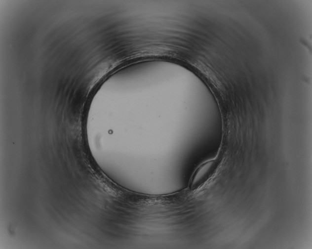 X0000091540834200709071102