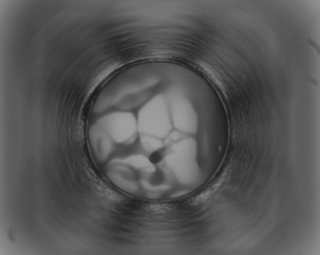 X0000091540835200709071102