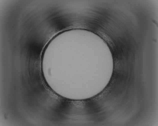 X0000091540836200709071102