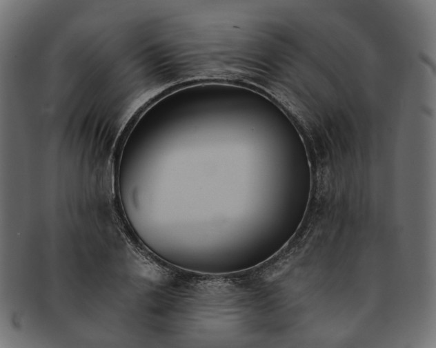 X0000091540838200709071102