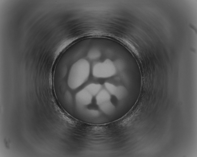 X0000091540839200709071102