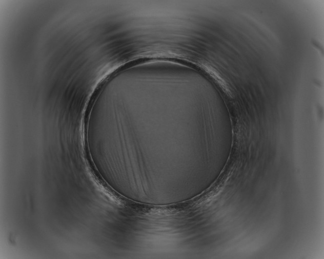 X0000091540840200709071102