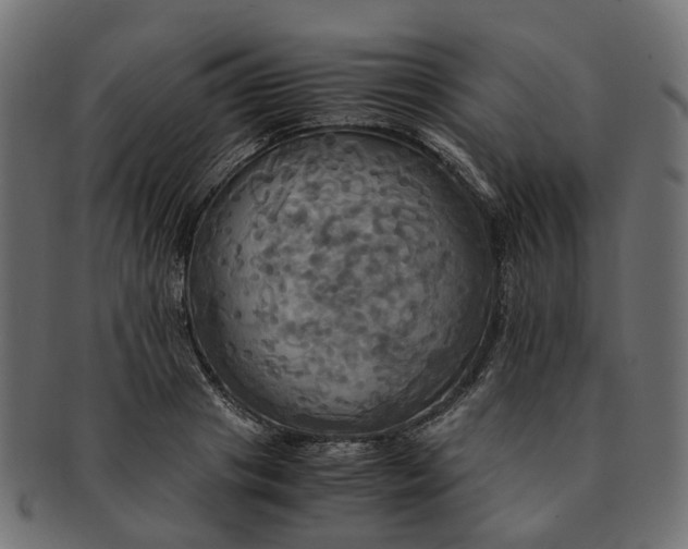 X0000091540841200709071102