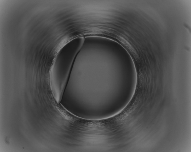 X0000091540842200709071102