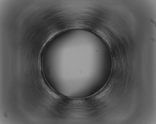 X0000091540843200709071102