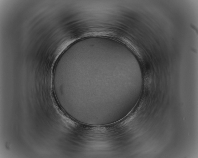 X0000091540844200709071102