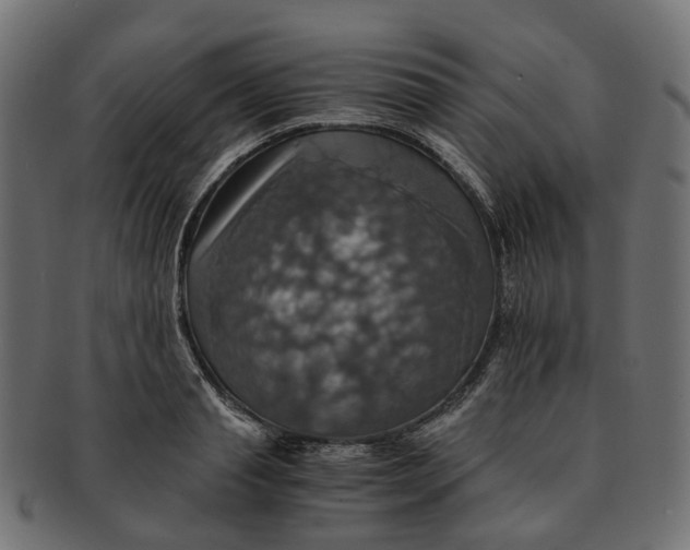 X0000091540845200709071102