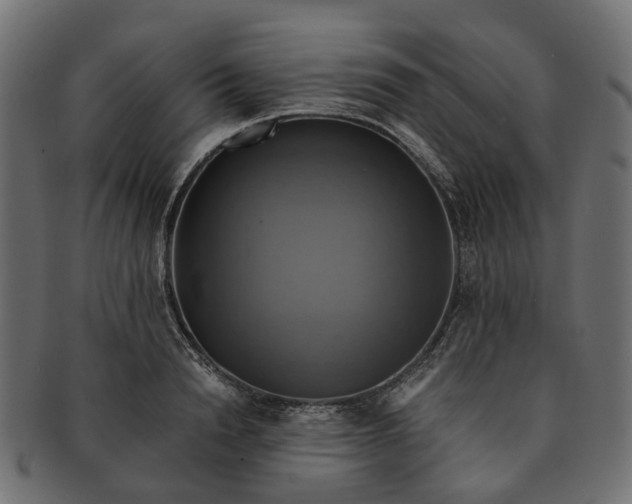 X0000091540846200709071102