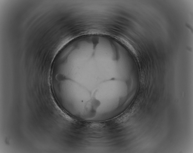 X0000091540847200709071102