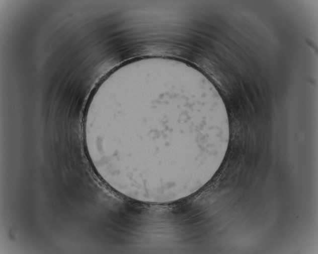 X0000091540848200709071102