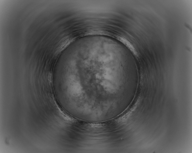 X0000091540849200709071102