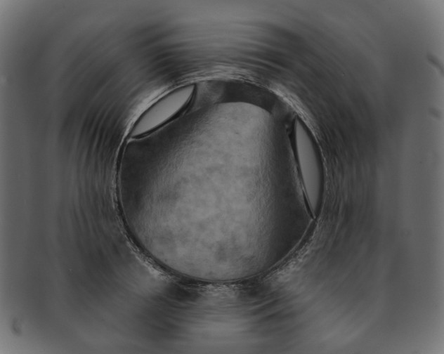 X0000091540850200709071102