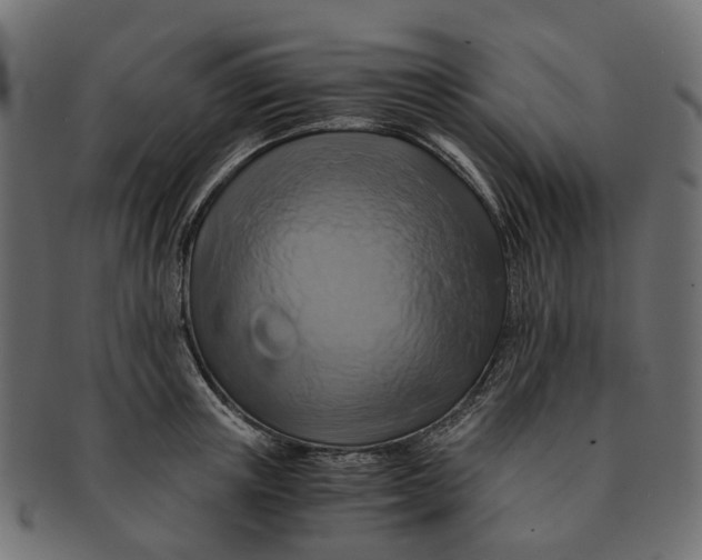 X0000091540851200709071102