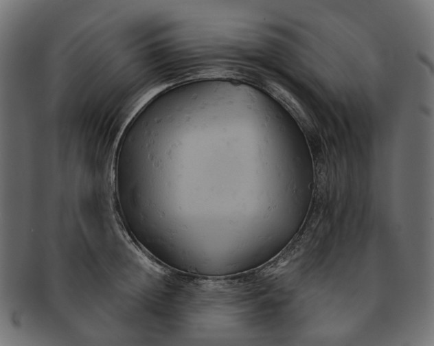 X0000091540852200709071102