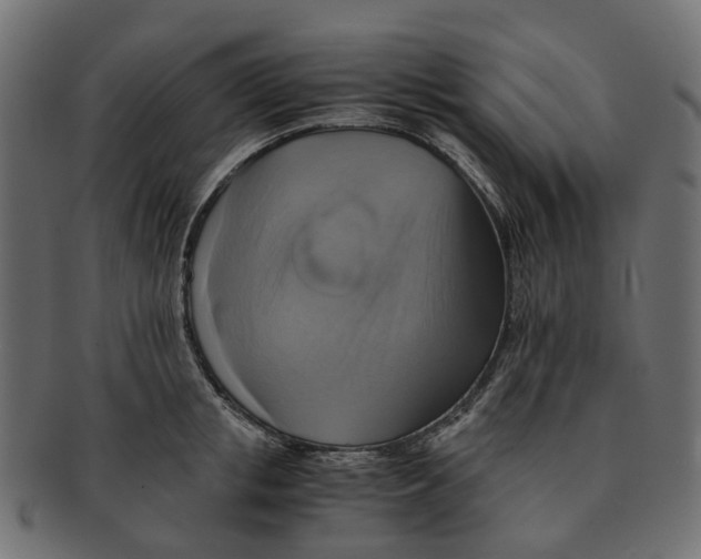 X0000091540853200709071102