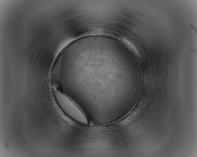 X0000091540854200709071102