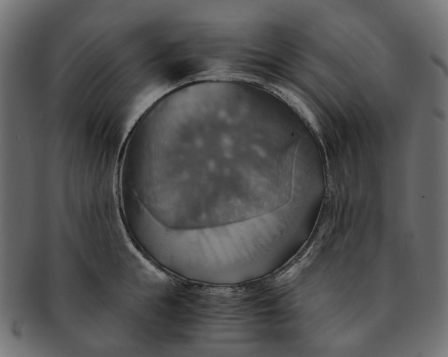 X0000091540855200709071102