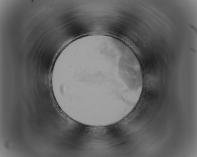 X0000091540856200709071102