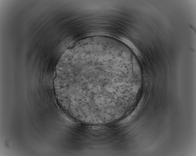 X0000091540857200709071102