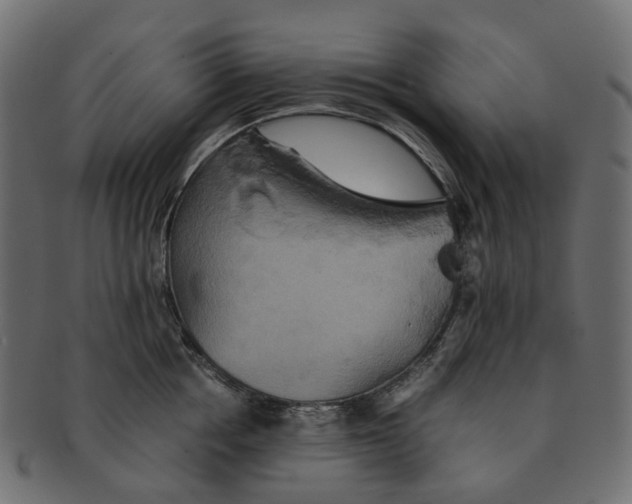 X0000091540858200709071102