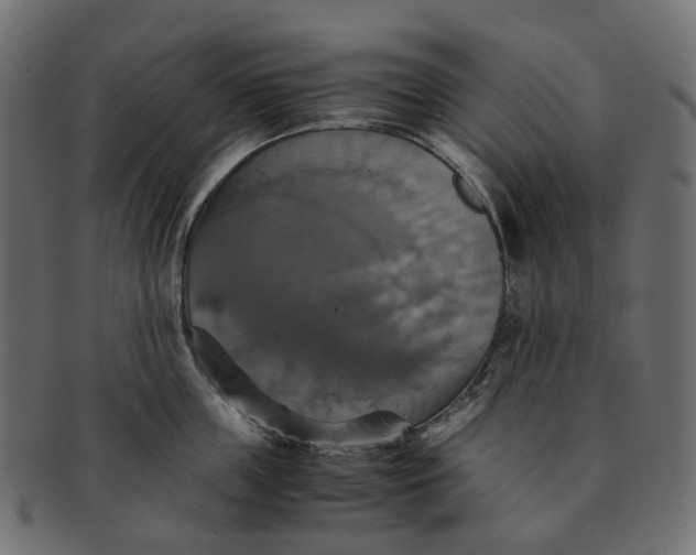 X0000091540859200709071102