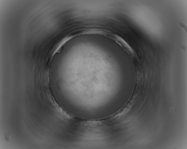 X0000091540860200709071102