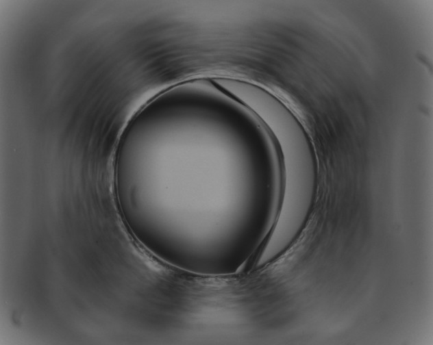 X0000091540862200709071102