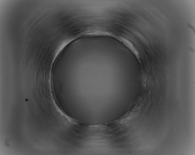 X0000091540863200709071102