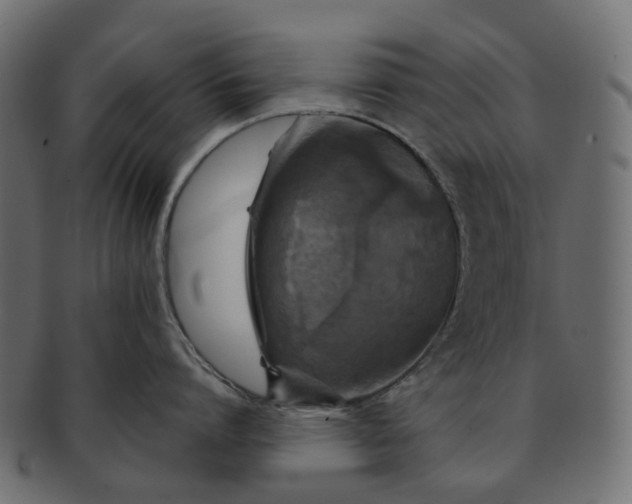 X0000091540864200709071102