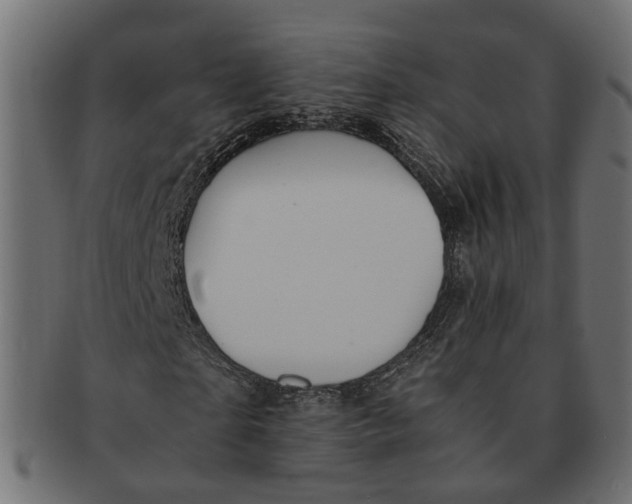 X0000091540865200709071102