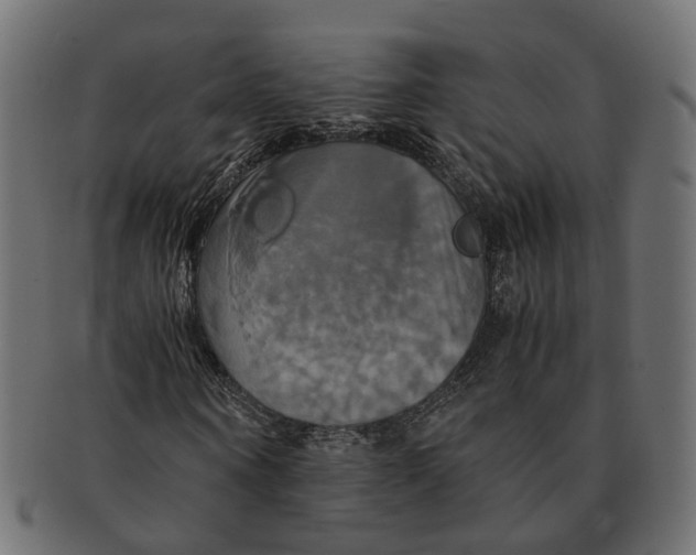 X0000091540866200709071102