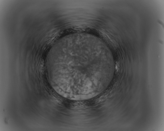 X0000091540867200709071102